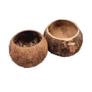 Kokosnußschale natur Stück (gebraucht)