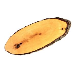 Rindenplatten ~50x20cm (gebraucht)