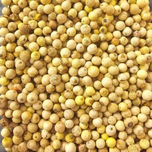 Zitronenpfeffer Körner 50g Dose