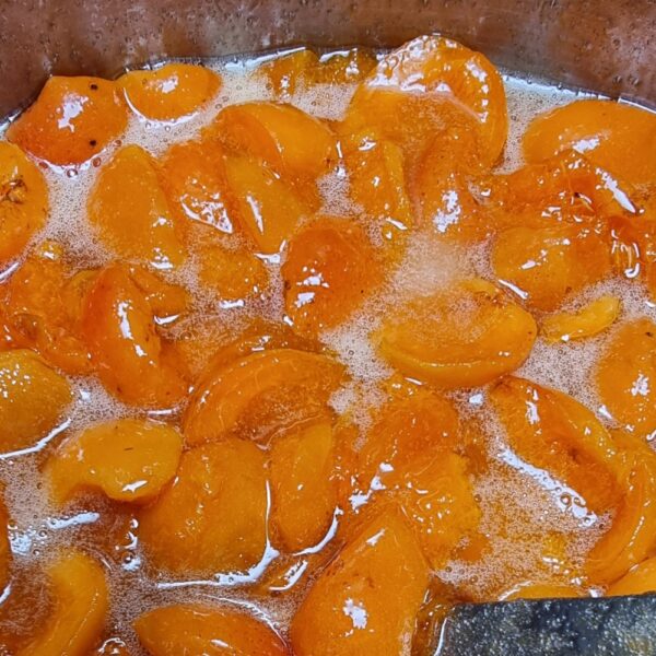 Aperol-Marillenmarmelade 230g - 2023 Abverkauf – Bild 2