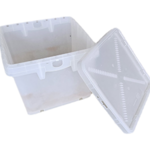 Transportbox mit Deckel für Geschirr (gebraucht)
