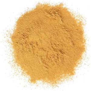 Ingwer Powder 20g Beutel
