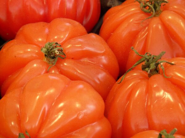 Tomatensauce "Ragout 3erlei" 350g Glas – Bild 3