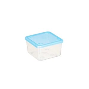 Tiefkühlbox Mini 65x65x4mm (NEUWARE)
